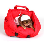 도그포즈 다이아 비비드 강아지 카시트