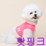 강아지 여름옷 쿨 나시 크롭 티 UV차단 기능성 슬리브리스 애견 민소매 아이스티 냉감티 L 큐티핑크 1개