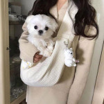 개가방 안전한 슬링백 달라붙는 핏 고양이 이동백