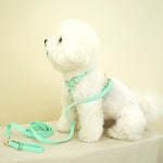 마켓굿독 마켓굿독 강아지 하네스 핸즈프리 리드줄 2M 세트 M 코랄핑크 1개