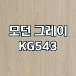 동화자연마루 강마루 동화자연마루 나투스강 1개 모던 KG543