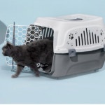 바르 강아지 고양이 캐리어 케이지 이동가방 켄넬 6kg이내 1개