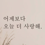 어썸투데이 감성 문구 레터링 스티커 어제보다 오늘 더 사랑해 M 흰색 L-101