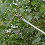 전지가위 고지 원예 가지치기 장대 롱 가위 2m