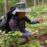 지리산뱀사골농원 산양삼 장뇌삼 5년근 8년근 12년근 8 9년근 8뿌리 1개