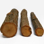 사슴벌레 장수풍뎅이 뒤집힘 방지 천연 놀이목 소 중 대 참좋은굼벵이 곤충농장 소 1개 소