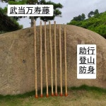 나무지팡이 효도지팡이 감태나무 원목 등산 스틱 노인정