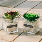 아스파시아 세븐 럭 스톤 디퓨저 세트 레드그린 상탈 80 1개