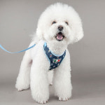 강아지 외출용품 캡틴 마도로스 하네스 M