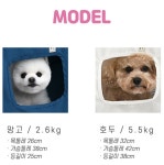 패리스독 밀라노 프레임 하우스