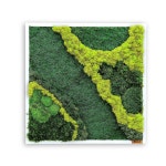 모스월아트 홈가드닝 천연 이끼액자 프리저브드 DIY 벽장식 데코 수직정원 실내공기정화식물 x 70 1개 MO-17L 70