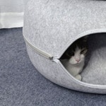 고양이 출산박스 은신처 휴식처 분만실 준비 텐트 고양이 임신 숨숨집 임신기간 징후