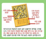 모자익스 보드게임 8세이상 주사위 굴려 영역 채우기