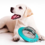 애견 강아지 고양이 간식 사료통 장난감통 우주선 민트