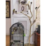 앵무새 원목횟대 놀이터 조류 장난감 걸이 스탠드 1 5m가죽버드스탠드나무부두 가지 대마로프 1개