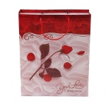 스페셜 로즈 PP 쇼핑백 10p세트 생활방수 선물쇼핑백