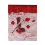 스페셜 로즈 PP 쇼핑백 10p세트 생활방수 선물쇼핑백