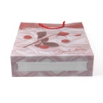 스페셜 로즈 PP 쇼핑백 10p세트 생활방수 선물쇼핑백