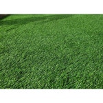 풋살장 학교 야구장 축구장 골프장 실내외 운동장 스포츠 인조잔디 두께 폭2mx15m 20m 두께35mm 폭2mx20m 1개