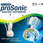 늘푸른산업 P-10