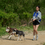 젠틀우프 젠틀우프 멀티 강아지 리드줄 어텀 이브닝