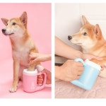 강아지 발 자동 세척기 도그워크 댕댕풋워시 상사맨