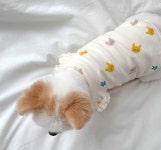 강아지 고양이 봄 여름 옷 보들보들 프릴 티셔츠 S M L 1개