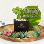 아트박스 예스잇츠커피 커피박 화분 만들기 다육식물 키트