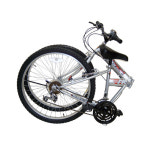 피앤케이 나누리 26FS 2009년