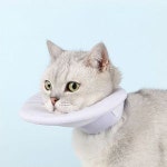 PET 강아지 고양이 넥카라 쿠션 상처보호 중성화