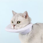 PET 강아지 고양이 넥카라 쿠션 상처보호 중성화