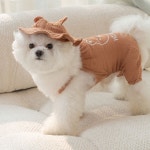 PET 강아지 옷 곰돌이 모자 세트 여름 나시 옷