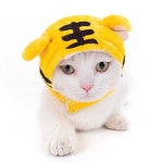 씨엠코스메틱 코스튬 모자 L 화이트토끼 1개 ZY0029