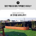 적벽돌 황토벽돌