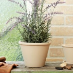 엠에이치앤코 모던하우스 모던하우스 라운더리 테라코타 화분 M D17 x H13 모카