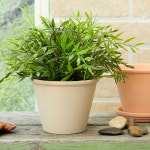 엠에이치앤코 모던하우스 모던하우스 라운더리 테라코타 화분 S D13 x H10 모카