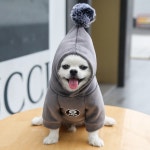 반려동물용 후드 골든 벨벳 두꺼운 강아지 옷 고양이 개용 따뜻한 두 다리 스웨터 가을 겨울