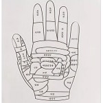 삼우힐링869 황금수지침 2구 지압볼 파우치포함