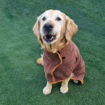 퍼피니스 size 중 대형견용 찍찍이 목욕 가운 반려견 바스롭 S 1개