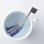 꽃을담다 꽃을담다 방아꽃 티스틱 시시호시