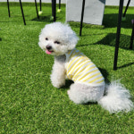 강아지 줄무늬 나시 신축성 실내복 외출복 산책옷 봄여름옷 티셔츠