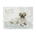 Trademark Fine Art Stellar Design Studio의 Dog Study I 캔버스 아트