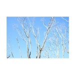 Trademark Fine Art Beata Czyzowska Young의 Art Of Waiting 캔버스 아트