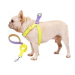 반려견 투톤 하네스 리드줄 세트 강아지 가슴줄 목줄