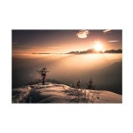 Trademark Fine Art Sandi Bertoncelj의 Greeting To The Sun 캔버스 아트