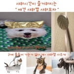 사러왕 강아지 고양이 목욕 방수 귀마개 애견 샤워캡 모자 물놀이 헤어밴드 스파 목욕용품