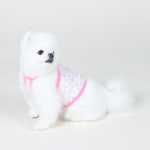강아지 고양이 플라워 시스루 크롭나시