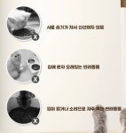 반려동물 타이머 자동급식기 배식기 사료공급기 2구