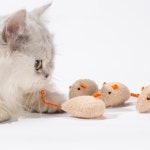 차차미 반려묘 캣닢 미니 쥐인형 고양이 애묘 사냥놀이 장난감 1개