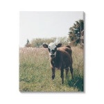 Stupell Industries Cow Calf 농촌 농장 초원 캔버스 벽 아트 Krista Broadway 디자인